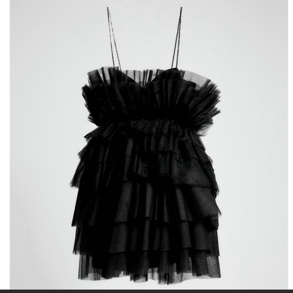 ZARA NYC Ballet Tulle Dress Limited Edition - Picture 3 of 4